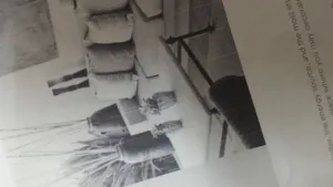 語言家 文宣案 Language Plus Living Space Current English Consulting Work